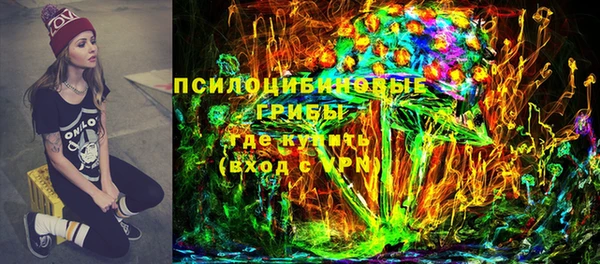 ешки Алзамай