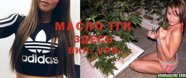 молекула духа Алексин