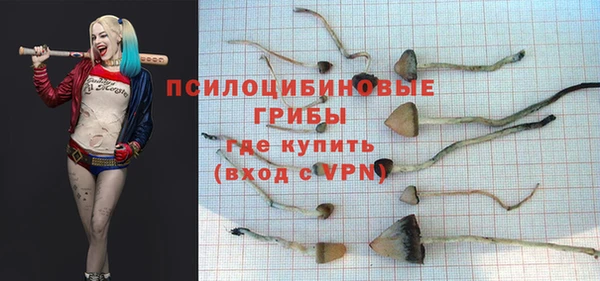 ешки Алзамай