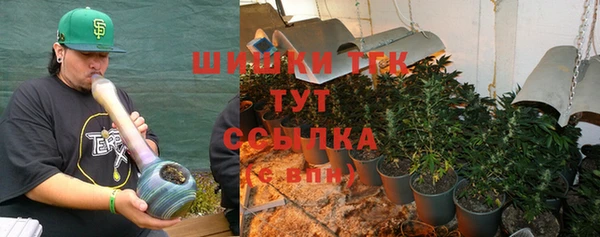 ПСИЛОЦИБИНОВЫЕ ГРИБЫ Рославль