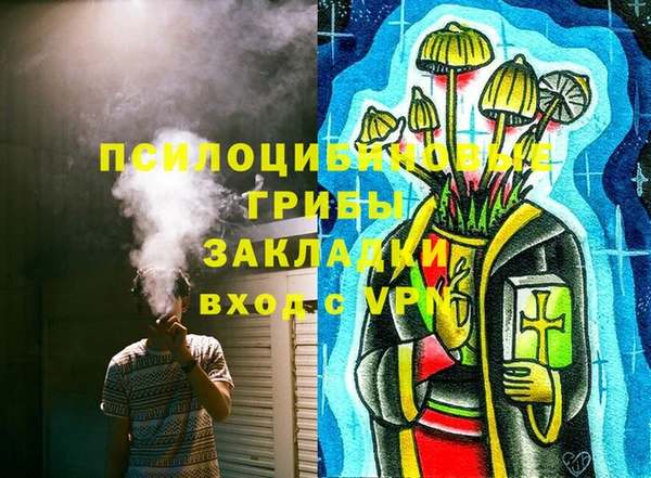ешки Алзамай